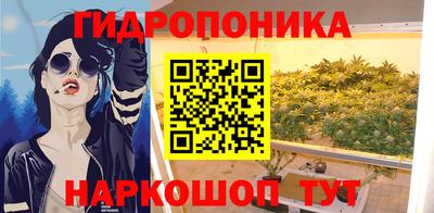 Альфа ПВП Гусиноозёрск