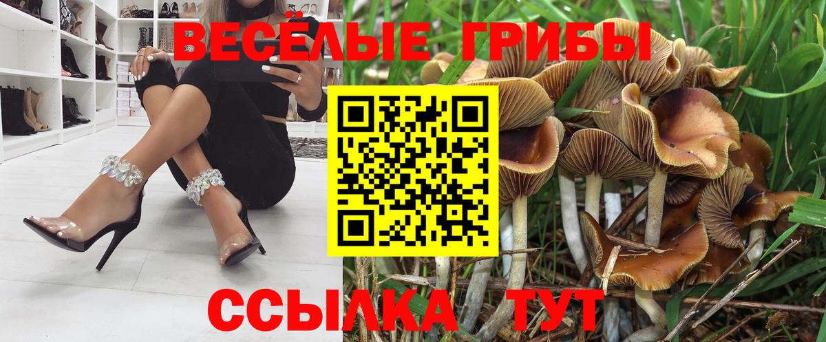 Михайловка  Галлюциногенные грибы GOLDEN TEACHER  Вход с VPN  Псилоцибиновые грибы прущие грибы 