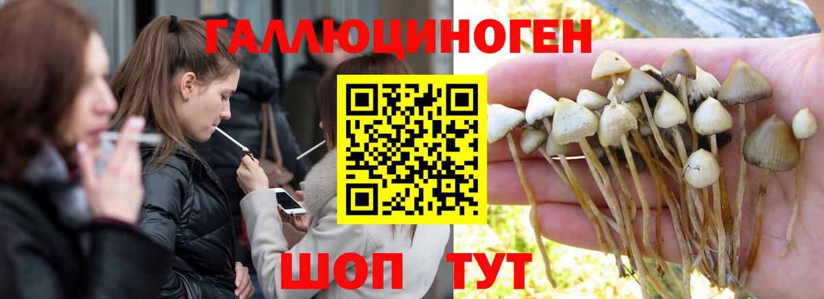 Кокаин  Alpha-PVP СОЛЬ   Героин  Михайловка  Вход с VPN  Меф кристаллы  Бошки Шишки  ЭКСТАЗИ 